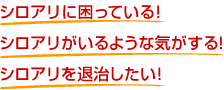 シロアリに困っている！いるような気がする！退治したい！