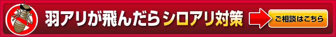 羽アリが飛んだらシロアリ対策