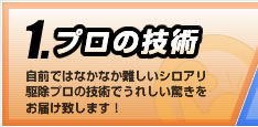 プロの技術：自前ではなかなか難しいシロアリ駆除プロの技術でうれしい驚きをお届け致します！