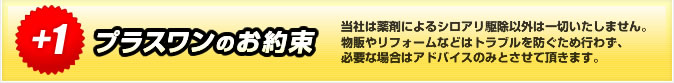 プラスワンのお約束：当社は薬剤によるシロアリ駆除以外は一切いたしません。物販やリフォームなどはトラブルを防ぐため行わず、必要な場合はアドバイスのみとさせて頂きます。