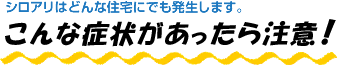 シロアリはどんな住宅にでも発生します。こんな症状があったら注意！