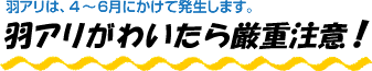 羽アリは、4～6月にかけて発生します。羽アリがわいたら厳重注意！