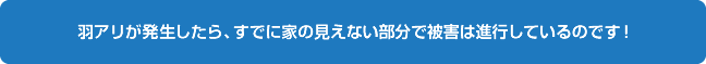 羽アリが発生したら、すでに家の見えない部分で被害は進行しているのです！