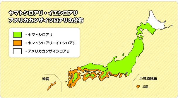 日本全国のシロアリ分布図